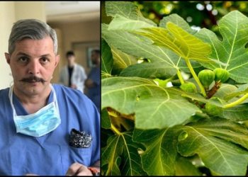 წელს ლეღვის ნახარშით დამწვრობის პირველი შემთხვევა დაფიქსირდა – გუგა ქაშიბაძე