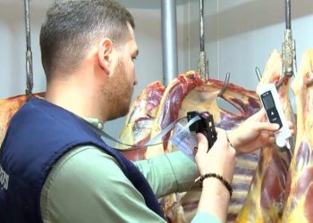 თბილისში 600 კილოგრამამდე მავნედ მიჩნეული ხორცი დაილუქა