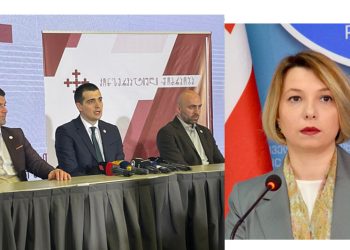 კონსტიტუციური სარჩელი “ალტ ინფოს” პარტიის ასაკრძალად – ომბუდსმენის განცხადება