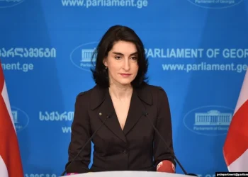 ევროპარლამენტარებთან შეხვედრაზე არ თქმულა, რომ დეოლიგარქიზაცია ითვალისწინებს რომელიმე ერთ პერსონაზე მორგებულ გადაწყვეტილებებს – მაკა ბოჭორიშვილი
