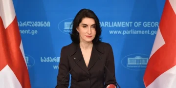 ევროპარლამენტარებთან შეხვედრაზე არ თქმულა, რომ დეოლიგარქიზაცია ითვალისწინებს რომელიმე ერთ პერსონაზე მორგებულ გადაწყვეტილებებს – მაკა ბოჭორიშვილი