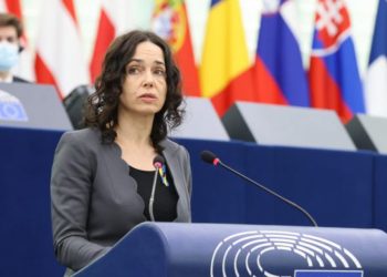 დროა, საქართველოს მთავრობა საქმეს შეუდგეს  – ევროპარლამენტარი ლექსმანი