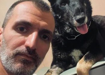 მძღოლი მისდევს მანქანით ძაღლს და კლავს – რა ვიდეოს აქვეყნებს მიშა კაჭკაჭიშვილი? (+18 ვიდეო)