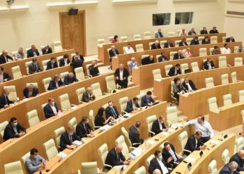 21 მდუმარე დეპუტატი – TI-ის ანგარიში