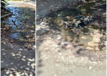 ფეკალიების მდინარე ქალაქის შუაგულში, მოსახლეობა 3 თვეა შველას ითხოვს ( ფოტოები ადგილიდან)