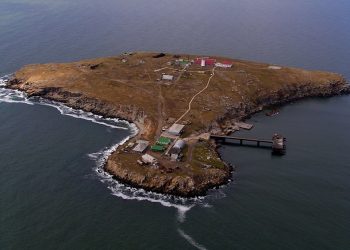 რუსულმა ძალებმა კუნძული „ზმეინი” დაბომბეს