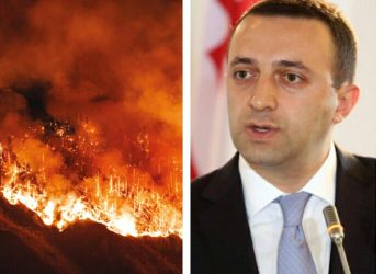 პრემიერის ეჭვები ხანძრებზე – ვინ უნდა გამოიძიოს ხანძრის გამომწვევი მიზეზები?