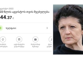 “ესაა ჩემი შვებულების ხელფასი… სისხლის ბოლო წვეთამდე ვმუშაობთ…” – თამუნა ჩოთირიძე