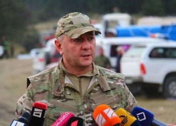 თუ ქარი არ ამოვარდა, ხვალ უკვე დაბალი კერები გვექნება – ვახტანგ გომელაური ხანძარზე