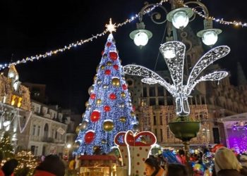 ბათუმის მერიამ საახალწლო ნაძვის ხის შერჩევა დაიწყო