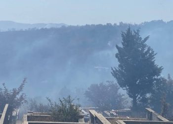 მუხათგვერდის სასაფლაოს მიმდებარედ ხანძარია