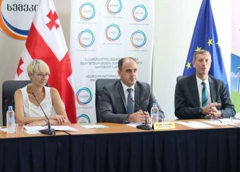 სემეკმა, მიმდინარე “თვინინგის” ფარგლებში, შეხვედრა გამართა