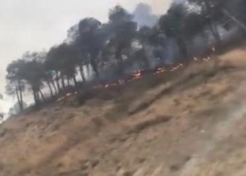 “SOS! თბილისი რუსთავის გზა – ხანძარი გზამდე ჩამოვიდა” – ვიდეო