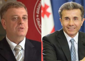 “მოდით, ვიყოთ გულახდილები და სიმართლე ვთქვათ… მართალია თავისთვისაც აკეთებს…” – ნიკოლეიშვილი