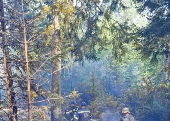 “ბიზნესი სადაა, ან სამოქალაქო აქტივისტები? ეს ტყე თქვენი არააა? ან საჭმელი ჩაუტანეთ ამ ხალხს, ან მხარდაჭერა გამოხატეთ!!!” – ტუხიაშვილი