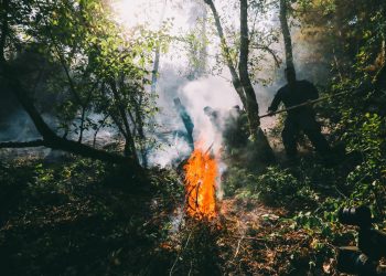 შსს–ს ვეტმფრენები და თურქეთის 3 სახანძრო თვითმფრინავი – რა ხდება ბორჯომში? – ვიდეო