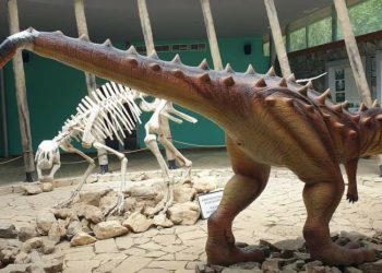 სათაფლიაში დინოზავრის კუდი “სკოჩით” დაამაგრეს