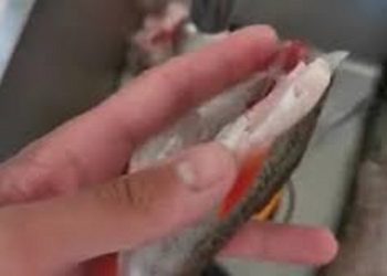 „ყურადღებით და ფრთხილად იყავით“ – ნახეთ რა ვიდეო ვრცელდება სოციალურ ქსელში