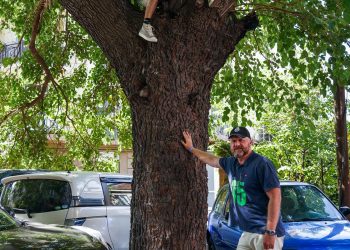 „ფესვი და ნაყოფები” – რა ფოტოს აქვეყნებს ზურაბ ჯაფარიძე