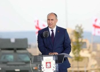 ქართველი მებრძოლების საბუთები მტრის ხელშია – მიხეილ ქამხაძე ვარაუდობს, რომ თავდაცვამ მისი საქმე გაყიდა
