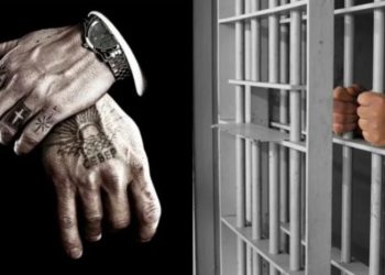 “თუშია”, “ჩხირა”, “ლეღვა” – შსს-მ „ქურდულ სამყაროსთან“ კავშირში მყოფი 8 პირი დააკავა