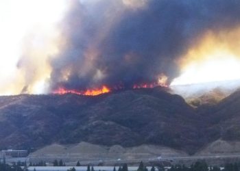 “შეიყვანეთ ჯარი, ომი კი არ გინდათ, მაგრამ ესეც ომია და აქ მაინც გამოიყენეთ” – ბერულავა