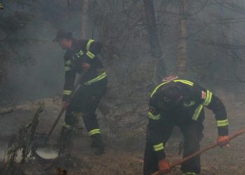 რა ხდება ამ წუთებში ბორჯომის ტყეში – შსს-ს განცხადება