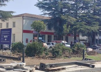 “მარტვილის მერიაში ვინმე არის, ვინც იცის, რომ + 41 გრადუსზე ხეების დარგვა აკრძალულია?!” – კალანდია