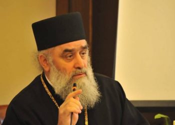 “ეს მოვლენა არის ძალინ მძიმე და ეს პირველი შემთხვევა არ არის” – მეუფე გრიგოლი