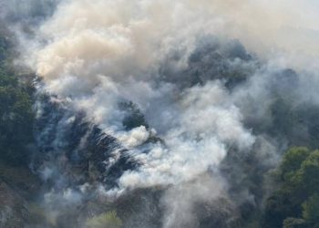 ამ დროისთვის ხანძრის ლიკვიდირებული და ლოკალიზებული კერები სჭარბობს აქტიურ კერებს – შსს