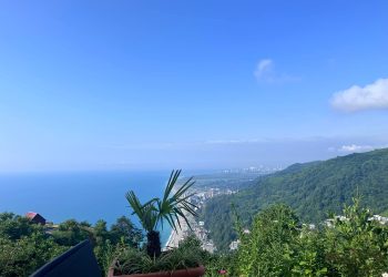 “დავგეგმე შვებულება ლიც რეზორტში, რასაც ახლა მოვყვები გაგაოცებთ… შვებულება დამირესტარტეთ…” – წერილი სოციალური ქსელიდან