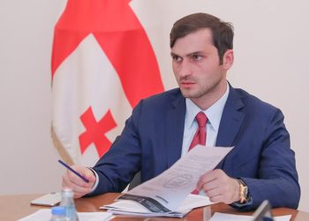 „სახალხო უნდა მოვაშოროთ, ნაცების დამცველი სახალხო დამცველია ეგ“ – თორნიკე რიჟვაძე