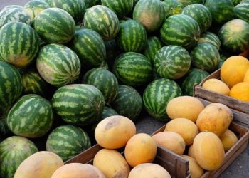 რას ნიშნავს იმ პროდუქტის შემოტანა, რომელიც ლამის გადასაყრელად გვაქვს და ვინ დგას ამის უკან?!