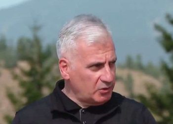 რა ხდება ამ წუთებში ბორჯომის ტყეში? – „ტერიტორია დაყოფილია 3 სექტორად” – მღებრიშვილი