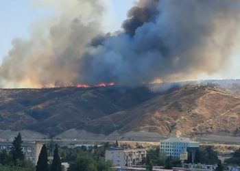 თბილისის თავზე ტყე იწვის (ვიდეო)