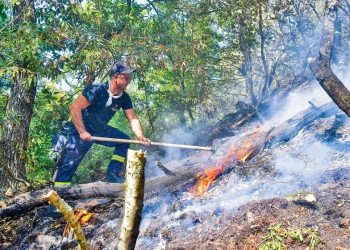 ბორჯომის ხეობაში ხანძრის სრულად ლიკვიდირება შესაძლოა დღის ბოლომდე მოხერხდეს