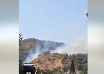 ხანძარია ზემო ავჭალაშიც – ცეცხლი ბუჩქებს, ბალახს და ხეებს უკიდია