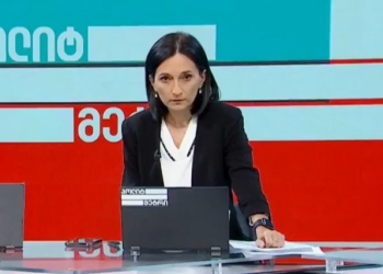 ე.წ. უკანონო მოსმენების საქმეზე ნინო ჟიჟილაშვილს დაზარალებულის სტატუსი მიანიჭეს