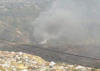 ხანძარია წყნეთში – ცეცხლი სავარაუდოდ, ტყეს უკიდია