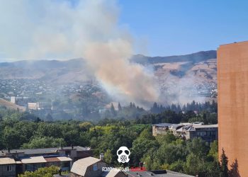 დიღომში ხანძარია