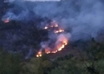 საგანგებო: ჩოხატაურის ტყეში ხანძარი ლიკვიდირებულია