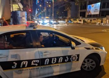 “მთელი ბათუმი მიყურებს როგორ მსვამენ სველი პირსახოცით პოლიციის მანქანაში” – თაკო მათეშვილი
