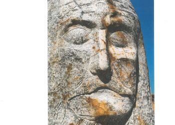 ვინ ჩაიგდო ხელში ისტორიული მარტყოფის ველი? – სკანდალური ინტერვიუ და ფოტომასალა