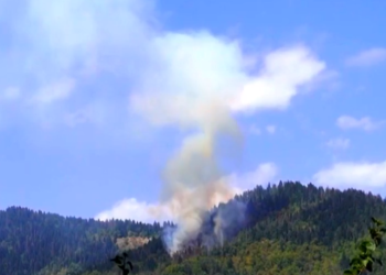 ხანძრის ახალი კერა ბორჯომში – “ვეტმფრენები უკვე ჩაერთნენ” – ვიდეო