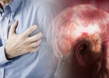 საქარეთველოში გულის იშემიური დაავადებები და ინსულტი განაპირობებენ სიკვდილიანობის მაღალ მაჩვენებელს – ჯანმო