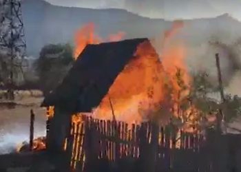 “ხაშურში სახანძროსგან 50 მეტრში მდებარე ფერმა დაიწვა” – მედია