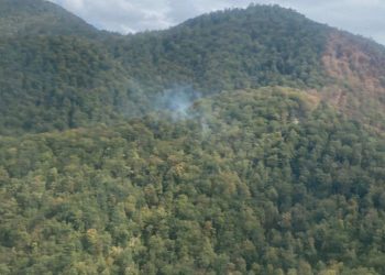 შილდის ტყეში ხანძრის ახალი კერები გაჩნდა – რა ხდება შემთხვევის ადგილას