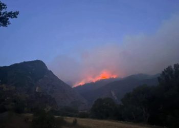 ბორჯომში, სოფელ ზორეთის მიმდებარედ ხანძარია