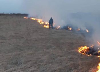 ოკუპირებულ ცხინვალის რეგიონში ხანძრის რამდენიმე კერას ებრძვიან