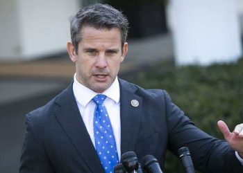 თუ თქვენი ქართული ლეგიონი არ შთაგაგონებთ რუსეთის გავლენის განდევნას მთავრობიდან – კინზინგერი